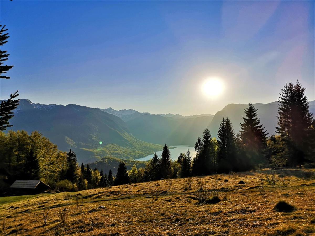 Chalet Ajda Bohinj Eksteriør bilde